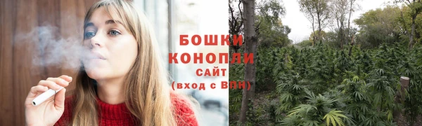 бошки Тутаев
