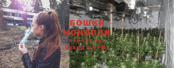 бошки Тутаев