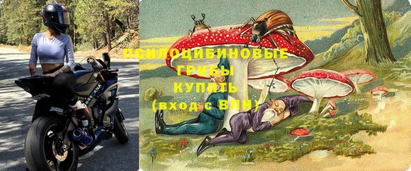 бошки Тутаев