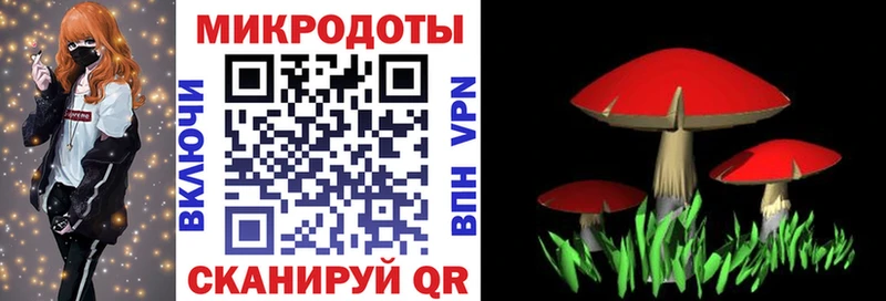 Галлюциногенные грибы мухоморы  Купить где  Зима 